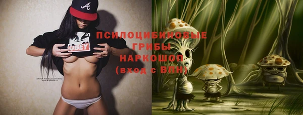 трава Нязепетровск