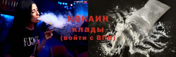 первитин Няндома