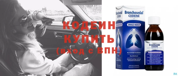 первитин Няндома