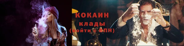 первитин Няндома