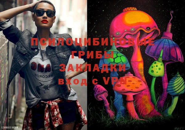 первитин Няндома